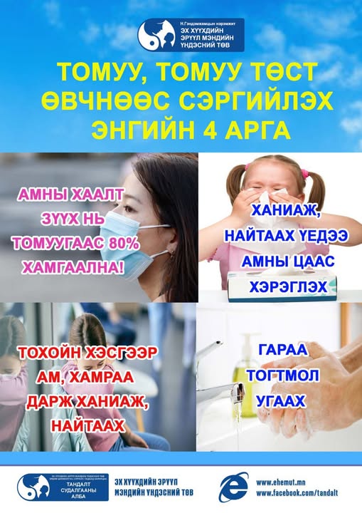 Томуу, томуу төст өвчнөөс сэргийлэх энгийн 4 аргыг хүргэж байна