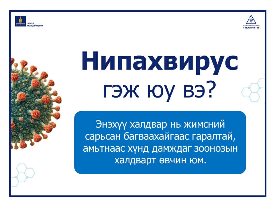 НИПАХ ВИРУСИЙН ХАЛДВАРЫН ТАЛААРХ МЭДЭЭЛЭЛ